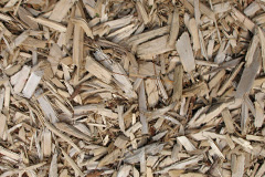 biomass boilers Neuadd