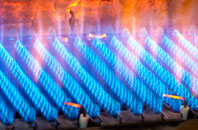 Neuadd gas fired boilers